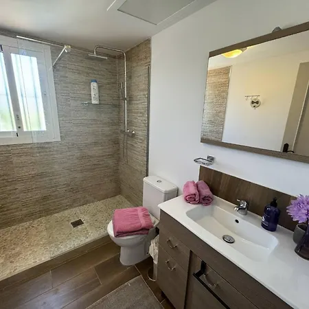 3308 Oasis *